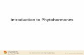 Introduction to Phytohormones - USP · Phytohormones regulate cellular activities (division, elongation and differentiation), pattern formation, organogenesis, reproduction, sex determination,