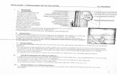 Pathologie du corps thyroïdienuniv.ency-education.com/.../1/3/1/...pathologie_thyroide2018beddar.pdf · 3- Physiologie : La glande thyroïde ... Processus fibreux et inflammatoire