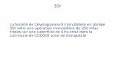 La Société de Développement Immobilière en abrégé ...netconseil-ci.com/themes/default/pdf/projetimmobilier.pdf · SITUATION GEOGRAPHIQQUE COCODY (DJOROGOBITE) (LOTISSEMENT BESSIKOI)