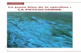 LA PHYCOCYANINEdata.over-blog-kiwi.com/0/88/96/10/20140926/ob_939de8_82... · 2014-09-26 · trait liquide de spiruline titré en phycocyanine en particu-lier. Habituellement, la