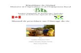   · Web view2015-05-06 · Nettoyage du paddy (vannage, triage, lavage) ; Séchage du paddy lavé ; Pasteurisation ; Rinçage du paddy pasteurisé ; Vaporisation du paddy ; Séchage