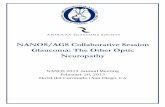 NANOS/AGS Collaborative Session Glaucoma: The Other … · NANOS/AGS Collaborative Session Glaucoma: The Other Optic Neuropathy NANOS 2015 Annual Meeting February 26, 2015 Hotel del