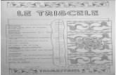 Le Triscele -21 - bibliotheque.idbe-bzh.orgbibliotheque.idbe-bzh.org/data/cle_62/Le_Triscele_-21_.pdf · Découpage saisonnier de ' année cel L ' Auvergne Les tinkers, derni ers