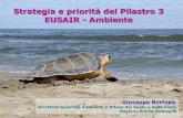 Strategia e priorità del Pilastro 3 EUSAIR - Ambienteterritorio.regione.emilia-romagna.it/.../at_download/file/Bortone.pdf · - attività di sensibilizzazione sulla implementazione