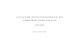 ANALYSE FONCTIONNELLE ET THEORIE …webusers.imj-prg.fr/~bernard.maurey/ts012/poly/mths.pdf · 0. Introduction L’Analyse Fonctionnelle est n´ee au d´ebut du 20`eme si`ecle pour