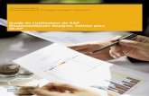Guide de l'utilisateur de SAP BusinessObjects Analysis ... · 3.3.1 Ajouter des données au tableau croisé ... Suppression automatique de tris et filtres.....85 9.3.3 Suppression