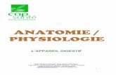 ANATOMIE / PHYSIOLOGIE - capsante.netcapsante.net/ecoleherboristerie3/wp-content/uploads/2015/10/... · PHYSIOLOGIE L’APPAREIL ... urée, acide urique, lysozyme, albumine, mucine