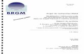 I Projet de recherches EG42 - Accueil | InfoTerreinfoterre.brgm.fr/rapports/RR-37173-FR.pdf · Projet EG42, modélisation des écoulements et du transport dans un massif fracturé