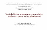 Enseignements DES Module national Anatomie Paris … · Variabilité anatomique vasculaire (artères, veines, et lymphatiques) Jean-Marie LE MINOR Faculté de Médecine de Strasbourg