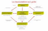 La musculation au Lycée - eps.ac-dijon.freps.ac-dijon.fr/IMG/pdf/donnees_theoriques.pdf · T Après un programme de musculation adapté (environ 2 ou 3 mois), il y a ... Si la tension