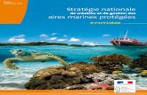 Stratégie nationale - ecologique-solidaire.gouv.fr · Ministère de l’Écologie, du Développement durable et de l’Énergie Stratégie nationale de création et de gestion des