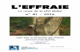 La revue de la LPO Rhône - files.biolovision.netfiles.biolovision.net/ · Jean-Michel BELIARD, Dominique TISSIER Plan de Conservation de l’Œdicnème criard: résumé du rapport