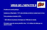 VIRUS DE L’HEPATITE - solimed.net · •Recherche sérique d’antigénes viraux –Ag HBs –Ag HBe . technique Seuil de détection Digene HBV test Hybrid capture (Abbott) hybridation