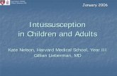 Intussusception in Children and Adultseradiology.bidmc.harvard.edu/LearningLab/gastro/Nelson.pdf · Intussusception in Children and Adults Kate Nelson, Harvard Medical School, Year