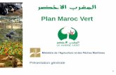 Plan Maroc Vert - agadirinvest.com · 0 0 Plan Maroc Vert Présentation générale Ministère de l’Agriculture et des Pêches Maritimes