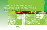 Les filières des fruits et légumes - FranceAgriMer · France : Surfaces, Production, Echanges et Consommation de fruits, légumes et pommes de terre de 2010 à 2014 19 Surfaces