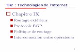 Chapitre IX - demay.iut.lr.free.frdemay.iut.lr.free.fr/doc/2A/Reseaux/TR2 - Technologies Internet... · Cas typique qui amène à utiliser le protocole BGP pour réagir dynamiquement