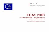 EQAS 2008 · EQAS 2008 Salmonella and Campylobacter CRL workshop, April 23-24, 2009 Susanne Karlsmose (suska@food.dtu.dk)