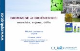 BIOMASSE et BIOÉNERGIE - CSBE-SCGAB Bioeng - … · 2 installations de production à la ferme: Bio-Terre Systems • Groupe EBI, Biothermica, Envirogaz. ... plus élevée : requiert