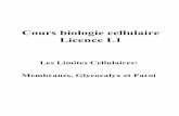 Cours biologie cellulaire Licence L1 - موقع الدراسة الجزائري ... · 2014-05-08 · Cours biologie cellulaire Licence L1 Les Limites Cellulaires: Membranes, ...