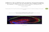 Influence de la délétion du récepteur sérotoninergique 5 ...BIB_5C040D8EEC82.P001/REF.pdf · Le rôle des récepteurs sérotoninergiques dans la physiopathologie de l'anxiété