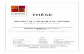 THÈSE - thesesupsthesesups.ups-tlse.fr/1992/1/2012TOU30327.pdf · Un modèle d’isotherme d’adsorption ... Le retrait endogène peut alors être évalué à partir d’un calcul