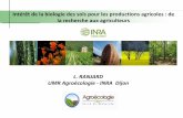 Intérêt de la biologie des sols pour les productions ... · Croissance des plantes Détoxification, bioremédiation Symbiotiques ou libres ... Prise en compte de la composante microbienne