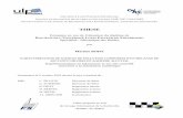 THESE - · PDF fileSpécialité : Mécanique des fluides par Martine BOHY CARACTERISATION DE SOURCES DE POLLUTION COMPOSEES D ... 1.2. PROPRIÉTÉS DU MILIEU POREUX ... 1.4. ECOULEMENTS