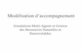 Simulations Multi-Agents et Gestion des Ressources ... Simulations Multi-Agents et Gestion des Ressources