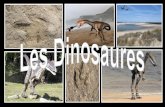PLAN de la partie 1 - avg85.fravg85.fr/wp-content/uploads/2016/05/partie-1-Dinosaures.pdf · fenêtre antéorbitaire et fenêtre mandibulaire Rhynchocéphales Squamates Crocodiliens