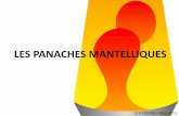 LES PANACHES MANTELLIQUES - elecoix.free.frelecoix.free.fr/paf/M1 ESPE 2013/confs/ANNEXE... · -Volcanisme -Tectonique III – Arguments géochimiques en faveur d’une origine profonde