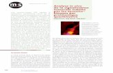 Analyse in vivo de la signalisation tumorale induite par ... · Analyse in vivo de la signalisation ... (pTyr) constitue un mécanisme majeur dans la ... 1991 2005 Caractérisation