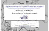 Ingénierie rationnelle et combinatoire des protéines ... · Ingénierie rationnelle et combinatoire des protéines Principes et Méthodes Exemple d’une amylosaccharase ... II-