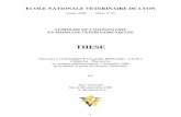 THESE - vetagro-sup.fr ECOLE NATIONALE VETERINAIRE DE LYON Année 2006 - Thèse n° 95 APPROCHE DE L'OSTEOPATHIE EN MEDECINE VETERINAIRE EQUINE THESE Présentée à l’UNIVERSITE
