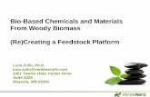 Bio-Based Chemicals and Materials From Woody Biomass … · From Woody Biomass (Re) ... Naphtha . Oxo-alcohol Process . Oxygen . ... but make money! Lignin . Gasification . Hydrocarbons
