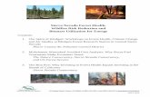 Sierra Nevada Forest Health, Wildfire Risk Reduction …/media/apc/documents/APCD Biomass... · Sierra Nevada Forest Health, Wildfire Risk Reduction and Biomass Utilization for Energy