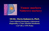 Patobiochemie nádorového bujení Tumor markersukb.lf1.cuni.cz/ppt/tum_mark.pdf · • GIT: kolon – CEA, pankreas – CA 19-9, žaludek CA 72-4, žlučové cesty CA 19-9, játra