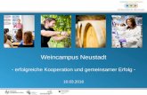 Weincampus Neustadt - FISfis.hs-kl.de/dokumente/20160310_Durner.pdf · Professoren und Dozenten der Hochschulen . Prof. Dr. Maren Scharfenberger-Schmeer Mikrobiologie . Hochschule