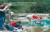 Bioindikation im Lebensraum Bach und Fluss Bach und Fluss nach GLOBE.pdf · Klee, Otto : Wasser untersuchen – Einfache Analysemethoden und Beurteilungskriterien. Quelle&Meyer, Biologische