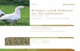 Enten und Gänse zu Grünfutter - granovit.ch · info@granovitzoofeed.com Für Ihre Bestellungen: Granovit Zoofeed CH-4303 Kaiseraugst Tel. +41 61 816 16 16 Fax +41 61 816 18 00 2017-10-30