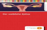 Der weibliche Zyklus - FWU | Wir produzieren Medien …dbbm.fwu.de/fwu-db/presto-image/beihefte/55/014/5501485.pdf · bett in den Gelbkörper umgewandelt. Eine Eizelle, ... 9 Arbeitsmaterial