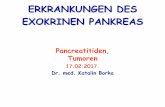 ERKRANKUNGEN DES EXOKRINEN PANKREAS - …semmelweis.hu/patologia2/files/2017/02/de_31.pdf · •Endokrine Anteile: Langerhans Insel ... • Die häufigste angeborene Stoffwechselerkrankung