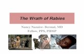 The Wrath of Rabies - pidsp · The Wrath of Rabies/NNBermal/PIDSP Annual Convention/05Feb2014/Crowne Plaza. nuchal skin YES NO NO YES biopsy serum NO NO YES NO CSF NO YES YES YES