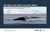 Die Wale, das Meer und das Klima - wdcs.org · Wie aber können wir bei den kleinen Menschen, die noch keine Vorstellung von Klimamodellen, ... Als Einstieg für das Projekt schlagen