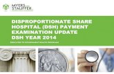 Disproportionate share hospital (DSH) Payment Examination ... · disproportionate share hospital (dsh) payment examination update dsh year 2014