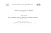 Consejo Superior de Investigaciones Científicasdigital.csic.es/bitstream/10261/91825/1/SainzM_TD-EEAD_2014.pdf · PM-NR Nitrato reductasa de la membrana plasmática PrxIIE Peroxirredoxina