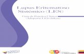 Lupus Eritematoso Sistémico (LES) - Inicio · recomendaciones para el diagnóstico, tratamiento y seguimiento de los principales ... de un paciente con lupus eritematoso sistémico,