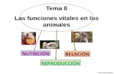 Tema 8 Las funciones vitales en los animales 8... · En los animales son dos, el sistema nervioso y el sistema endocrino que funcionan íntimamente relacionados. El sistema nervioso