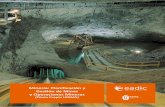 Minería: Planificación y Gestión de Minas y …eadic.com/documentos-informativos/Master-Mineria-Planificacion... · Máster en Minería: Planificación y Gestión de Minas y Operaciones
