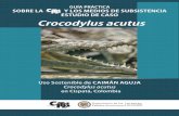 Uso Sostenible de CAIMÁN AGUJA Crocodylus acutus … · C Uso Sostenible de CAIMÁN AGUJA Crocodylus acutus en Cispatá, Colombia GUÍA PRÁCTICA SOBRE LA Y LOS MEDIOS DE SUBSISTENCIA
